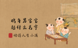 鸡年男宝宝起什么名字大全