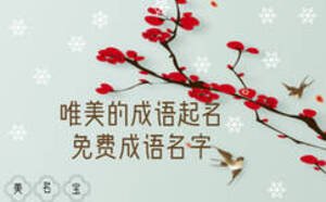 唯美的成语起名，免费成语名字