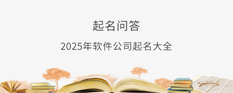2025年软件公司起名大全