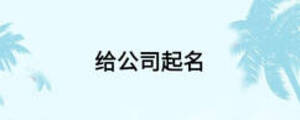 给公司起名