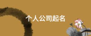 个人公司起名