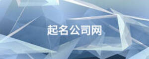 起名公司网