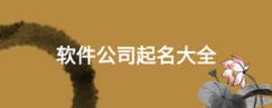 软件公司起名大全
