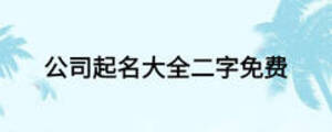 公司起名大全二字免费