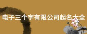 电子三个字有限公司起名大全