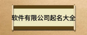 软件有限公司起名大全