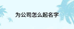 为公司怎么起名字