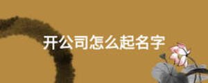 开公司怎么起名字
