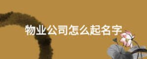 物业公司怎么起名字