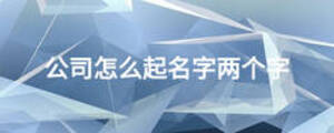 公司怎么起名字两个字