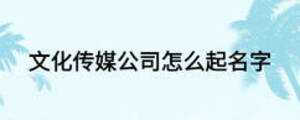文化传媒公司怎么起名字