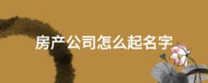 房产公司怎么起名字