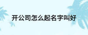 开公司怎么起名字叫好