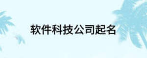 软件科技公司起名