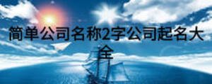 简单公司名称2字公司起名大全