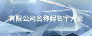 有限公司名称起名字大全