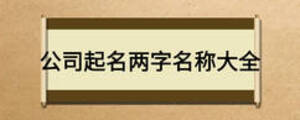 公司起名两字名称大全