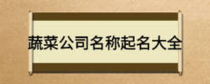 蔬菜公司名称起名大全