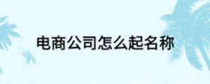 电商公司怎么起名称