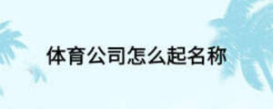 体育公司怎么起名称