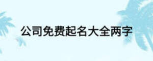 公司免费起名大全两字