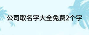 公司取名字大全免费2个字