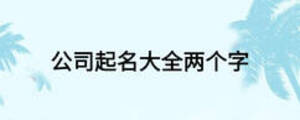 公司起名大全两个字