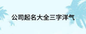 公司起名大全三字洋气