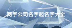 两字公司名字起名字大全