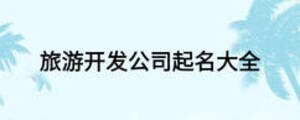 旅游开发公司起名大全