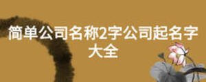 简单公司名称2字公司起名字大全