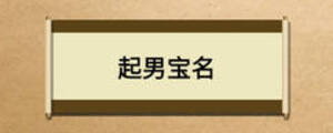 起男宝名