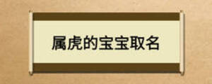 属虎的宝宝取名