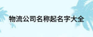 物流公司名称起名字大全
