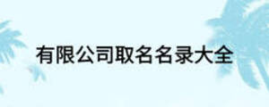 有限公司取名名录大全