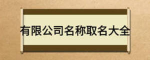 有限公司名称取名大全