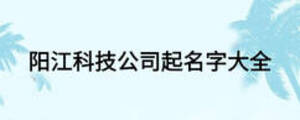 阳江科技公司起名字大全