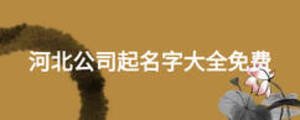 河北公司起名字大全免费