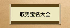 取男宝名大全