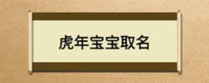 虎年宝宝取名