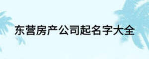 东营房产公司起名字大全