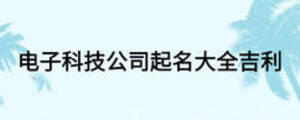 电子科技公司起名大全吉利
