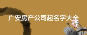 广安房产公司起名字大全