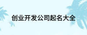 创业开发公司起名大全