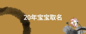 20年宝宝取名