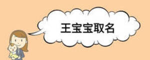 王宝宝取名
