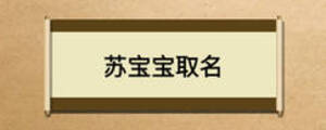 苏宝宝取名