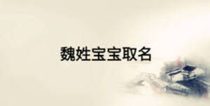 魏姓宝宝取名