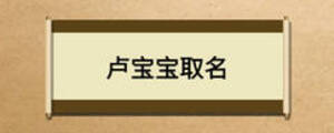 卢宝宝取名