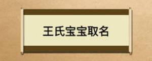 王氏宝宝取名
